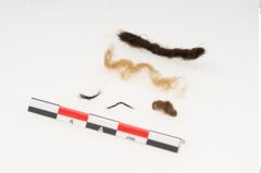 Etikett zu Haare (NHMW-PRAE-125486)